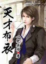天才布衣完整版