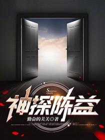 神探陈益阳城是哪里