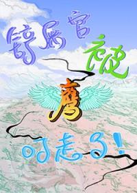 铲屎官的视频