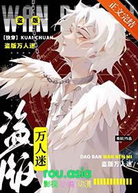 盗版万人迷系统如何