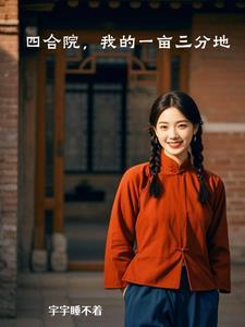 四合院:我的一亩三分地 四合院:我的一亩三分地